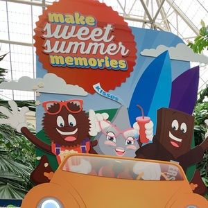 Meet your Posher, Susan